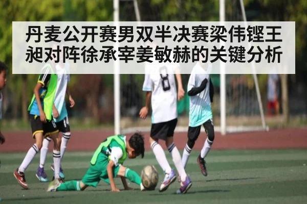 丹麦公开赛男双半决赛梁伟铿王昶对阵徐承宰姜敏赫的关键分析 | c7c7.app